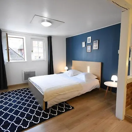 Dans Le Coeur Historique Apartment *
