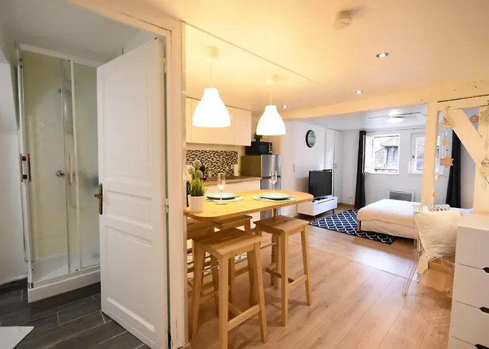 Dans Le Coeur Historique Lägenhet Troyes